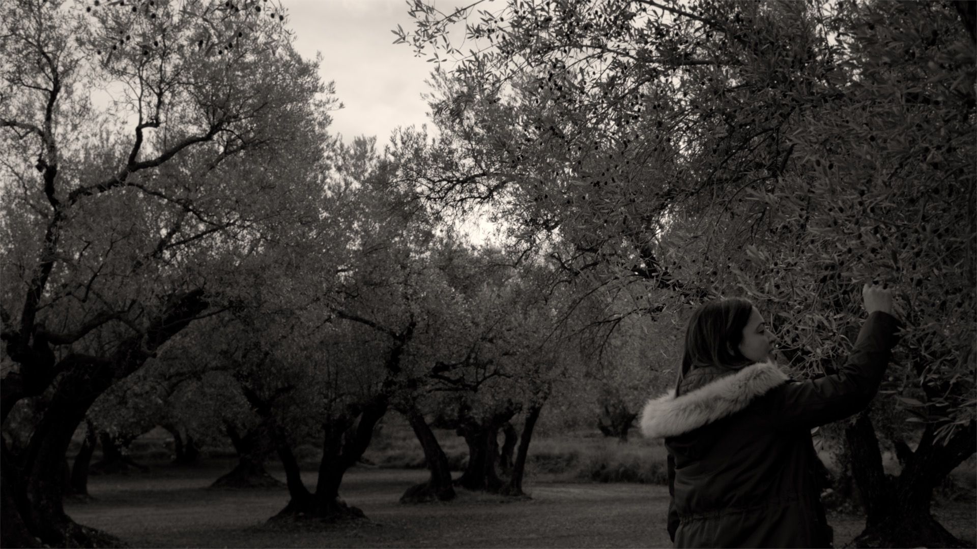 correos-market