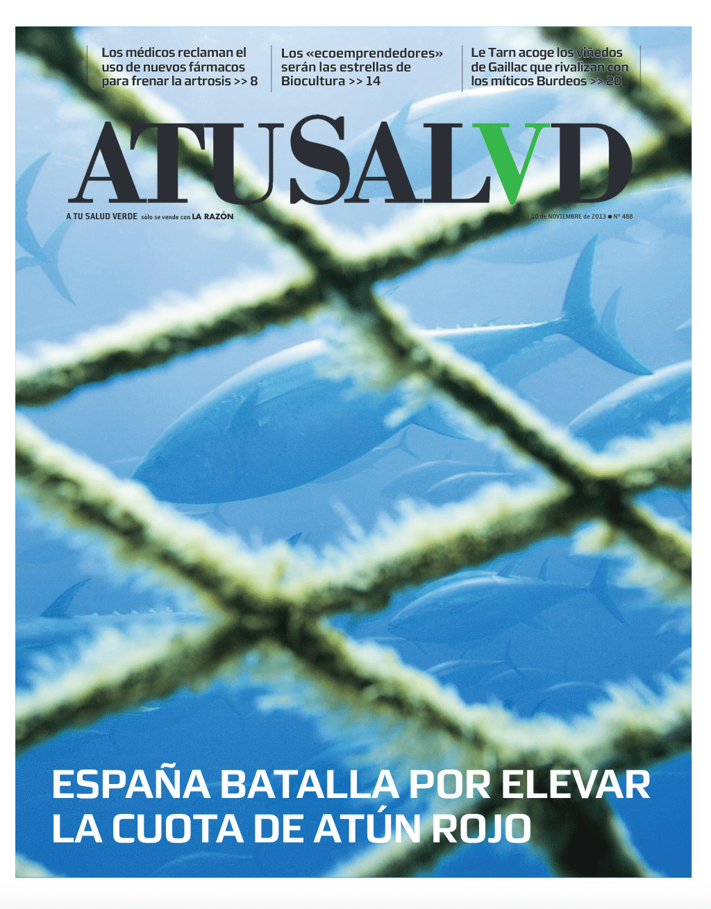 2013: el atún rojo