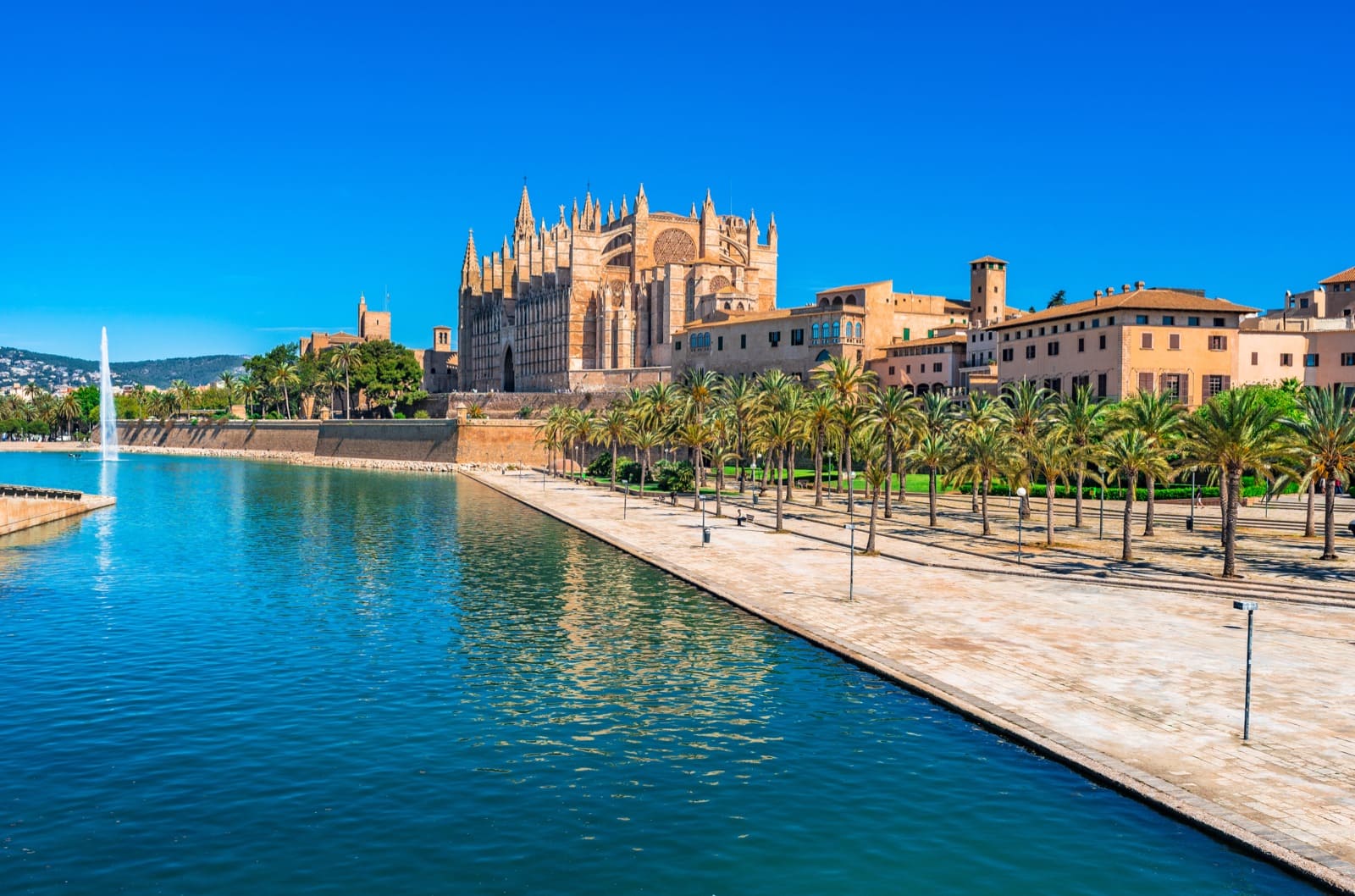shutterstock_640502779_MallorcA_Cathedral La Seu and Parc de la Mar.