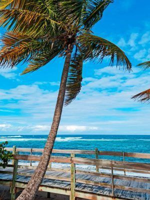 Parque Lineal de Loiza-17