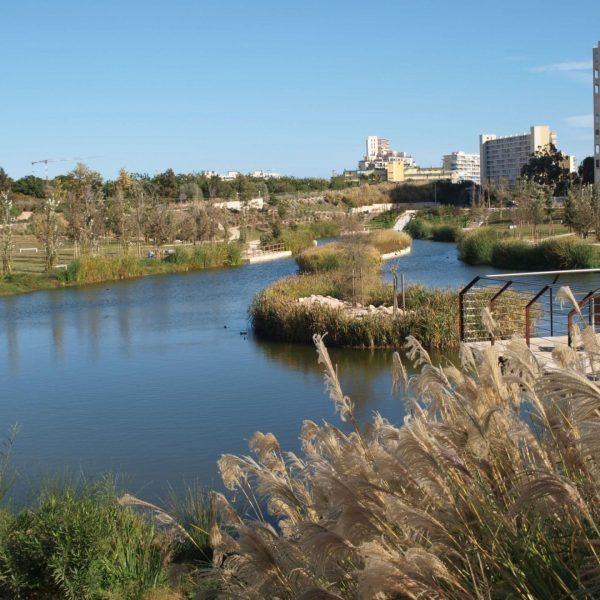 SUEZ_PARQUE LA MARJAL
