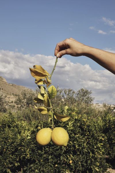 Valle de Ricote