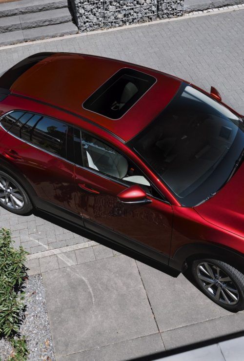 cx305