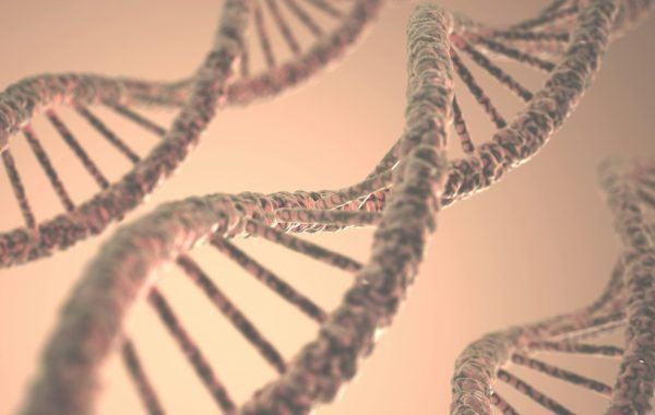 DNA Structure