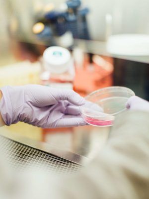 Fundación La Caixa: Investigación
