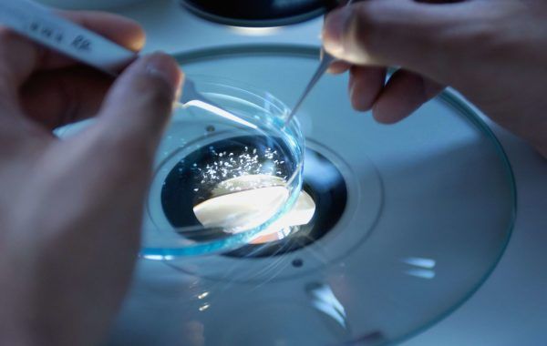 Fundación La Caixa: Investigación