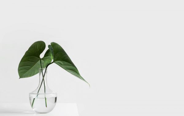 sarah-dorweiler-x2Tmfd1-SgA-unsplash
